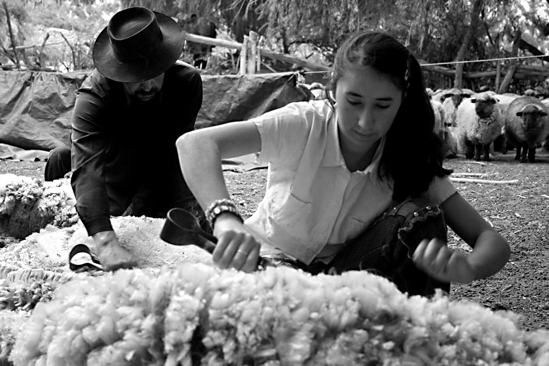 Esquila Tradicional-Heredando Valores / Foto: Sergio Martinez / Archivo CRESPIAL